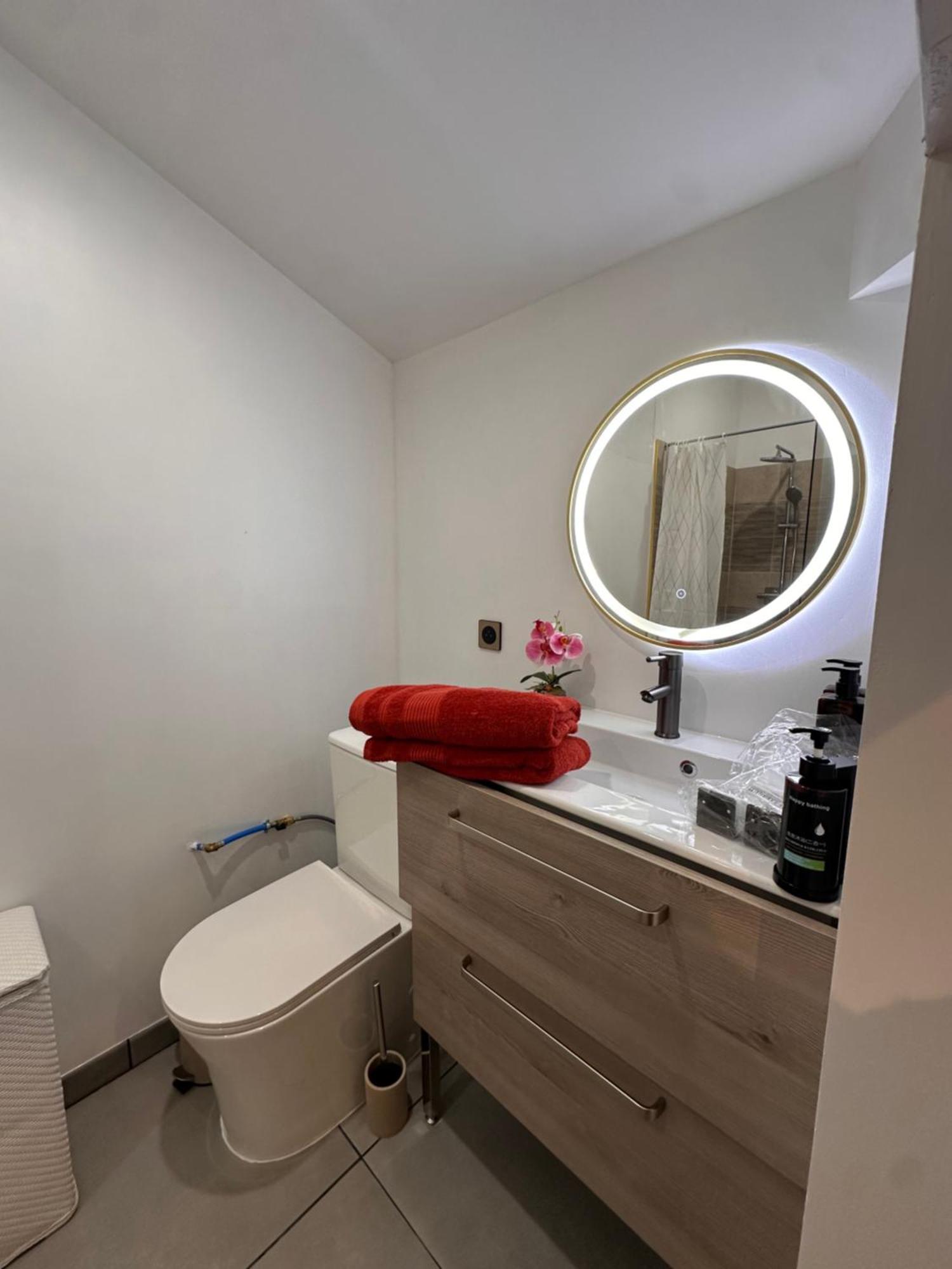 Les Appartements Du Palais Carcassonne Eksteriør billede
